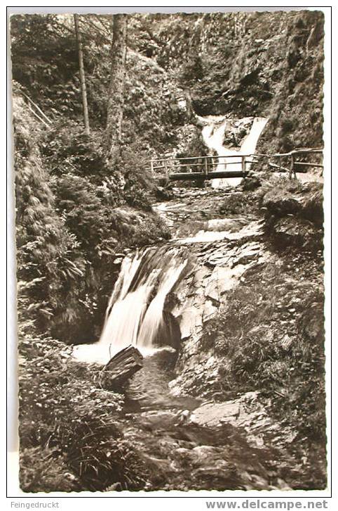Kurhaus Allerheiligen, Wasserfälle - S/w Foto Ak Um 1940 - (d 468) - Hochschwarzwald