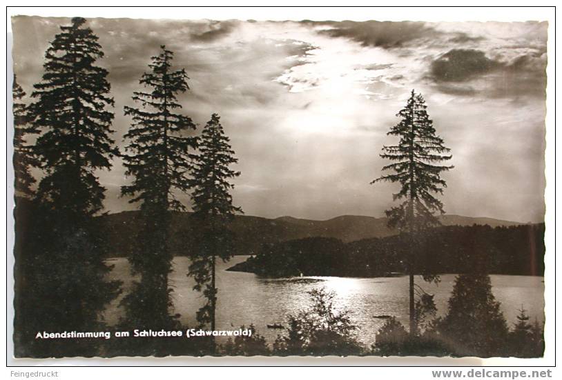 Abendstimmung Am Schluchsee Schwarzwald - S/w Foto Ak '69 - (d 469) - Hochschwarzwald