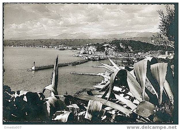 CP >NICE< Vue Générale Sur Le Port Et La Pinte De Rauba-Capeu - Sans Timbre - Transport Maritime - Port