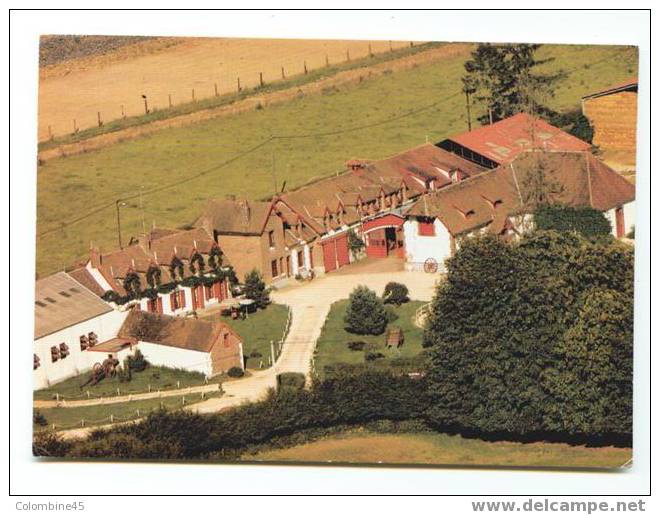 Cpm Haras De Villechetive à Cerisiers Dans L Yonne - Reitsport