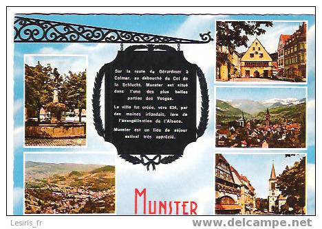 CP - MUNSTER - MULTIVUES - - Munster