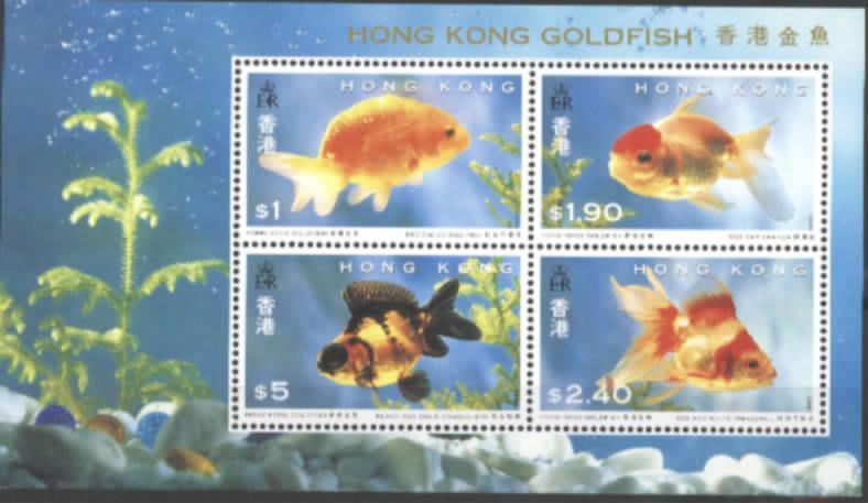 1993 HONG KONG GOLD FISH S/S OF 4V - Nuevos
