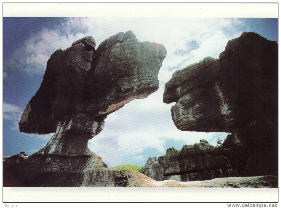 PRE-STAMPED POSTCARDS CHINA - THE SCENERY OF CHONGQING "Stone Forest In Wansheng" - Maximumkarten