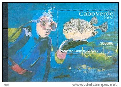 Cape Verde Bf ** (4) - Diving