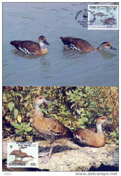 WWF OISEAUX CANARDS   4 CARTES MAXIMUM DIFFERENTES DES BAHAMAS 1988 - Entenvögel