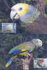 WWF OISEAUX PERROQUETS DE SAINTE VINCENT  4 CARTES MAXIMUM DIFFERENTES DE SAINTE VINCENT  1989 - Pappagalli & Tropicali