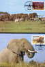 WWF ELEPHANTS  4 CARTES MAXIMUMS DIFFERENTES  DE L OUGANDA 1988 - Eléphants