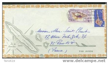 REF LBR 10- N.LLE CALEDONIE LETTRE ILLUSTREE NOUMEA / PARIS 27/12/1971 - Briefe U. Dokumente