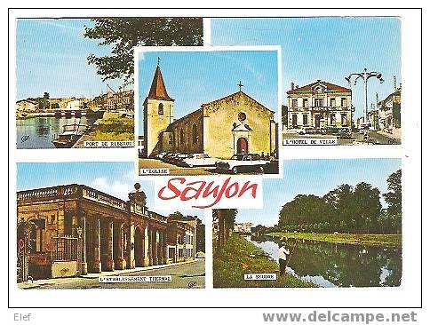 SAUJON ,Port De Ribérou,l'Hotel De Ville,l'Eglise,l'établissement Thermal,la Seudre(+pecheur à La  Ligne)  ;TB - Saujon