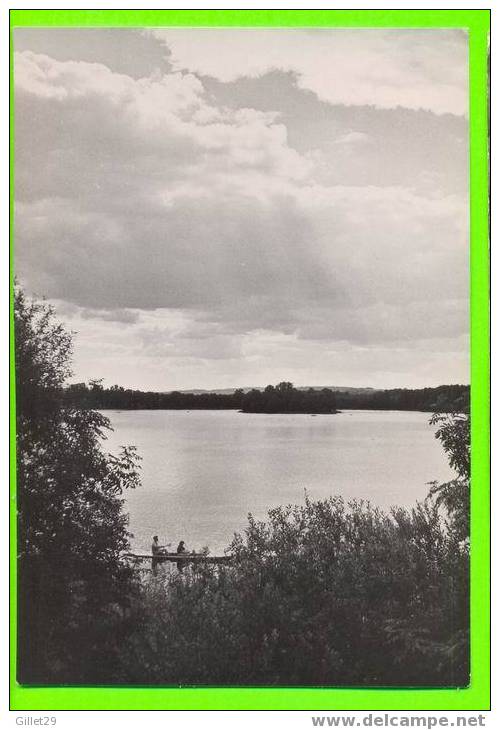 POLOGNE - LUBNIEWICE - JEZIORO - CARTE ÉCRITE EN 1963 - ANIMÉE - - Pologne