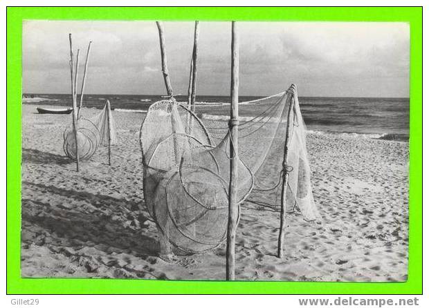 NAD BALTYKIEM, POLOGNE - FOT. S. ARCZYNSKI - FILETS DE PÊCHE - - Pologne