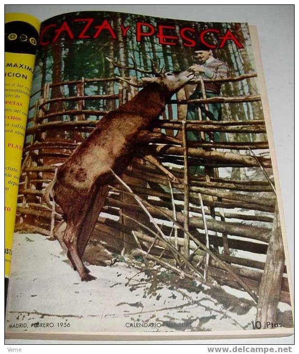 CAZA Y PESCA - CALENDARIO MENSUAL ILUSTRADO. 12 NUMEROS. AñO 1956 COMPLETO ENCUADERNADO EN UN TOMO - DIRECTOR: JOAQUIN E - Ciencias, Manuales, Oficios