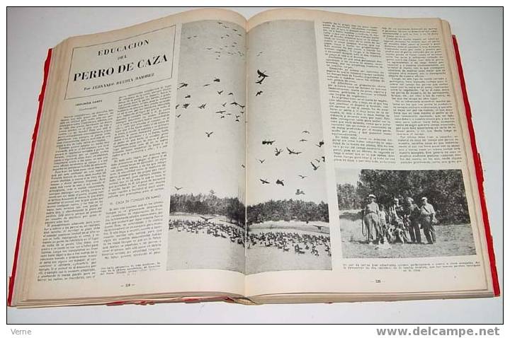 CAZA Y PESCA - CALENDARIO MENSUAL ILUSTRADO. 12 NUMEROS. AñO 1956 COMPLETO ENCUADERNADO EN UN TOMO - DIRECTOR: JOAQUIN E - Ciencias, Manuales, Oficios