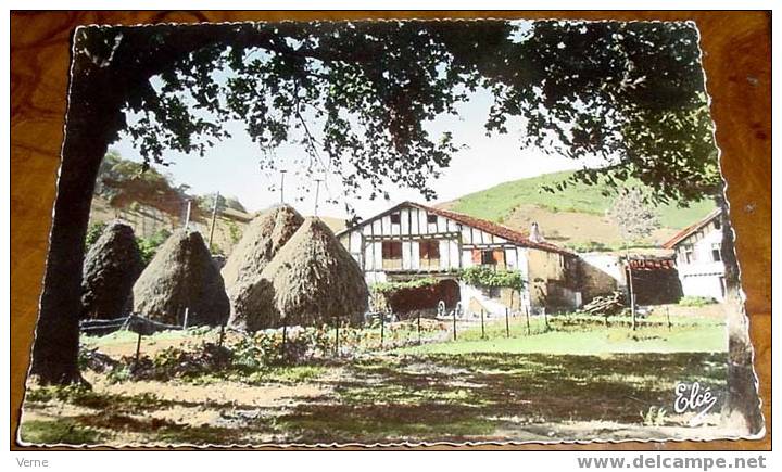 ANTIGUA POSTAL DE PAIS VASCO - NO CIRCULADA. - Vizcaya (Bilbao)