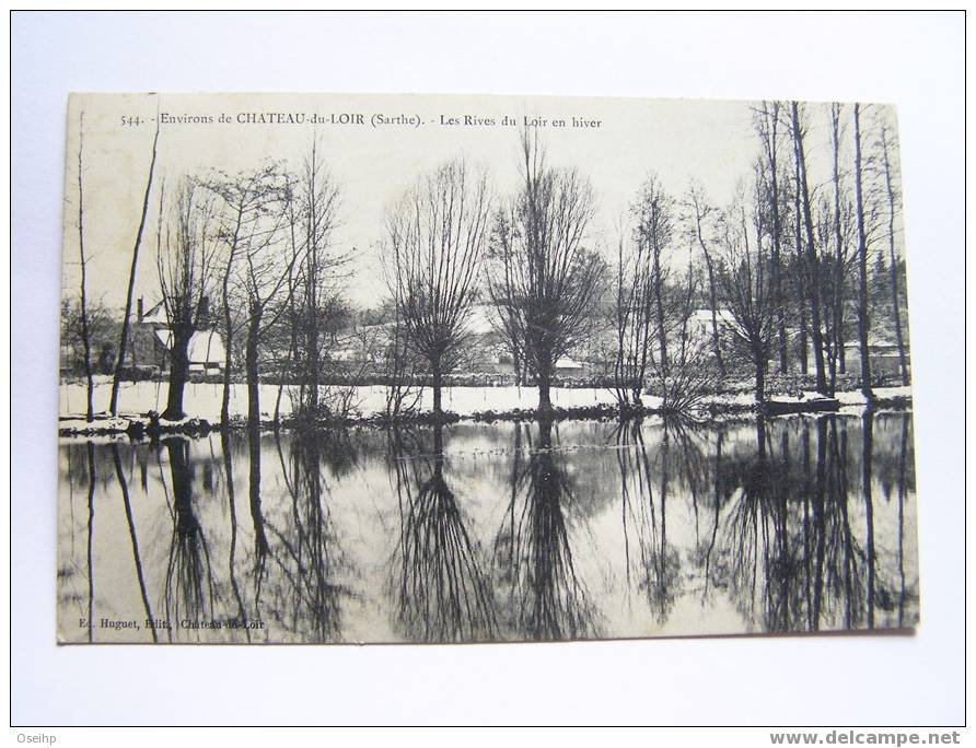 Environs De CHATEAU-du-LOIR - Les Rives Du Loir En Hiver - Chateau Du Loir