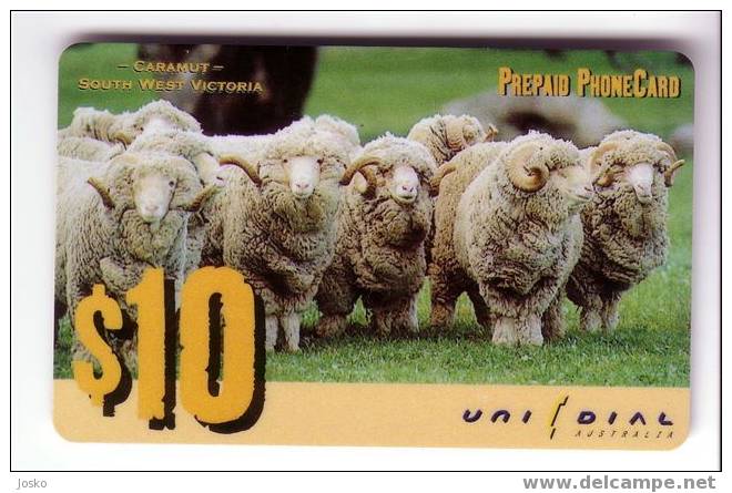 SHEEPS - Australia Old Rare Unidial Card * Sheep Mouton Brebis Schafe Oveja Merino Moutons Pecora - Australië