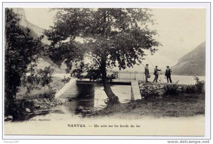 Réf 120  - NANTUA - Un Coin Sur Les Bords Du Lac (JOLIE CARTE ANIMEE) - Nantua