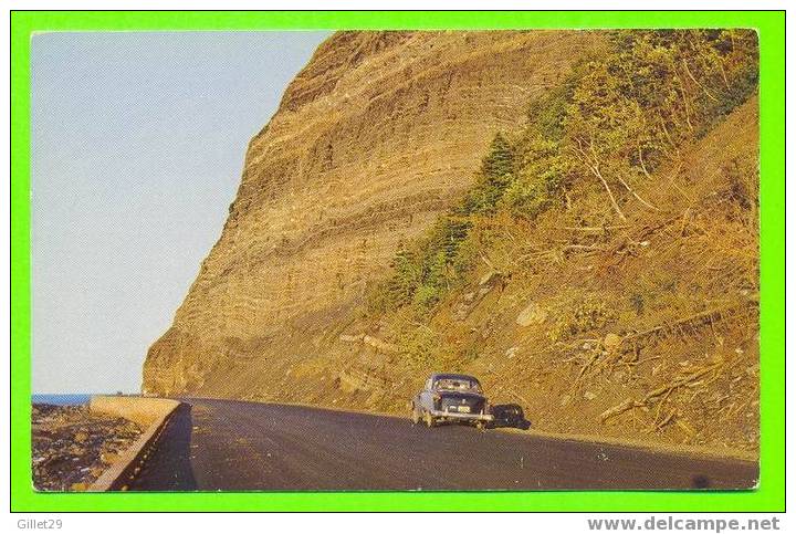 GASPÉ NORD, QUÉBEC - LES FALAISES RUGUEUSE A GROS MORNE - - Gaspé