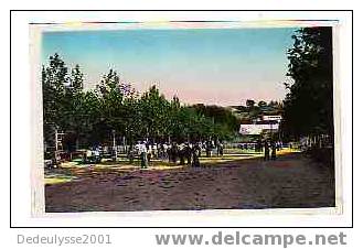 Mai   836630  St Cyr Sur Mer  Jardin Public Et Jeu De Boules N° 2 - Saint-Cyr-sur-Mer