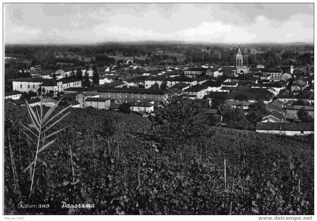 Occimiano (AL) - Panorama - Altri & Non Classificati