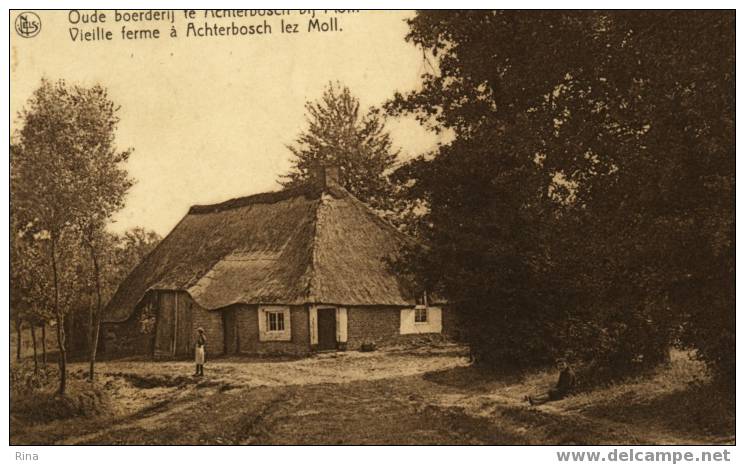 Moll Oude Boerderij Te Achterbosch Bij Moll - Mol