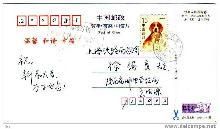 CHINA  (1994) -cartolina -  Fauna - Cane - Storia Postale