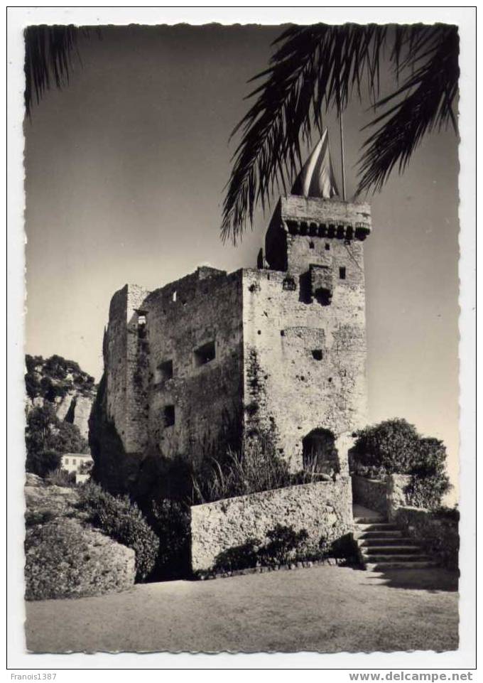 Ref 121  - ROQUEBRUNE-VILLAGE - Château Historique  Du Xème Siècle - Entrée Façade Ouest Sur Jardin - Roquebrune-Cap-Martin