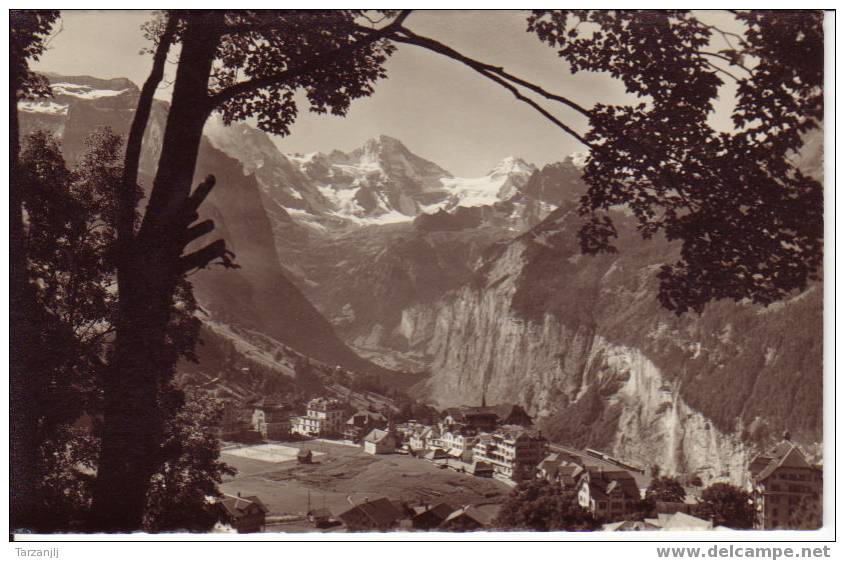 CSM De WENGEN Breithorn-Tschingelhorn - Wengen