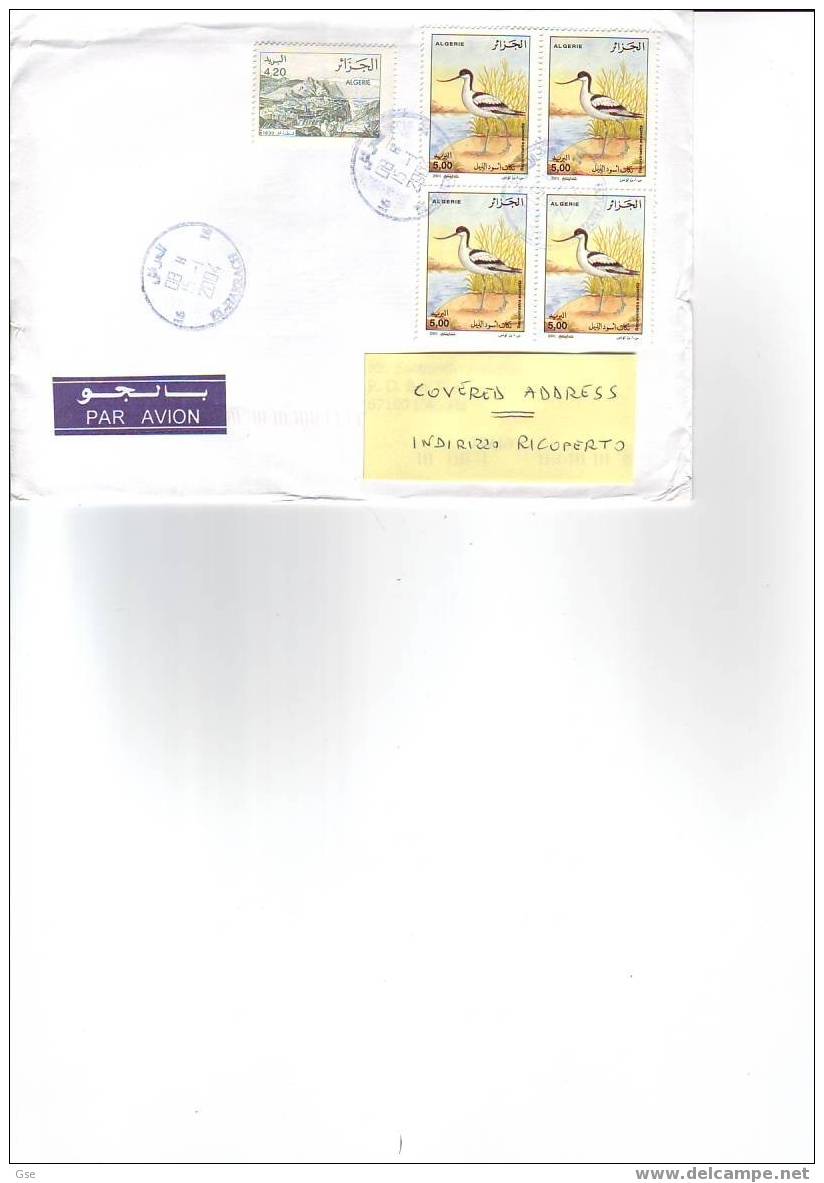 ALGERIA  (2004) - Lettera - Uccelli - Palomas, Tórtolas