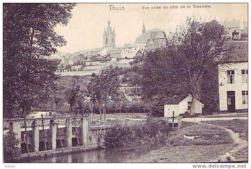 THUIN = Vue Prise Du Côté De La Biesmele  (pli Coin Droit Inf.)  (Nels  S.10  N° 12) - Thuin