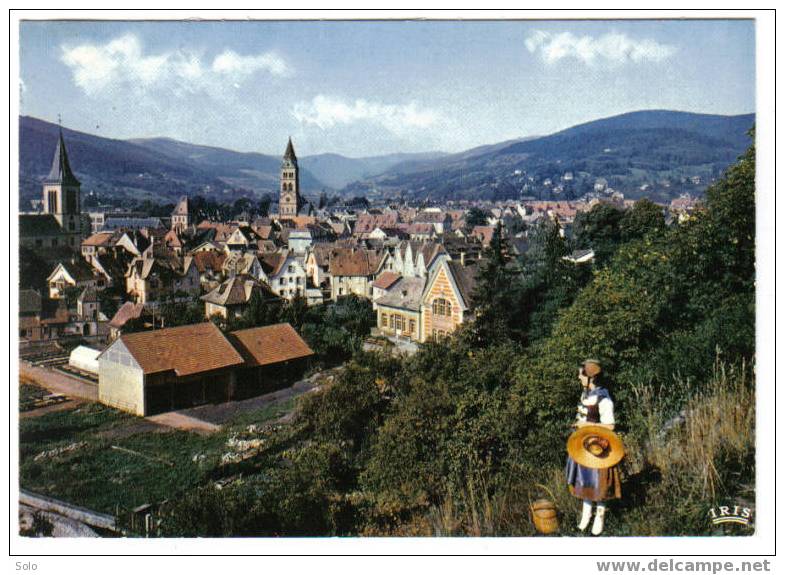 MUNSTER - Vue Générale Vers Le Hohneck - Munster