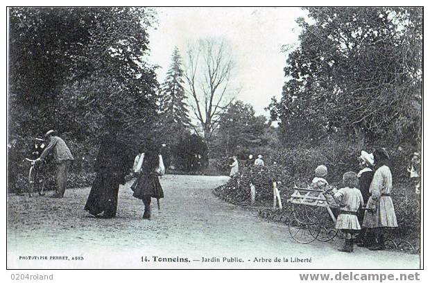 Tonneins - Jardin Public - L'arbre De La Liberté - Tonneins