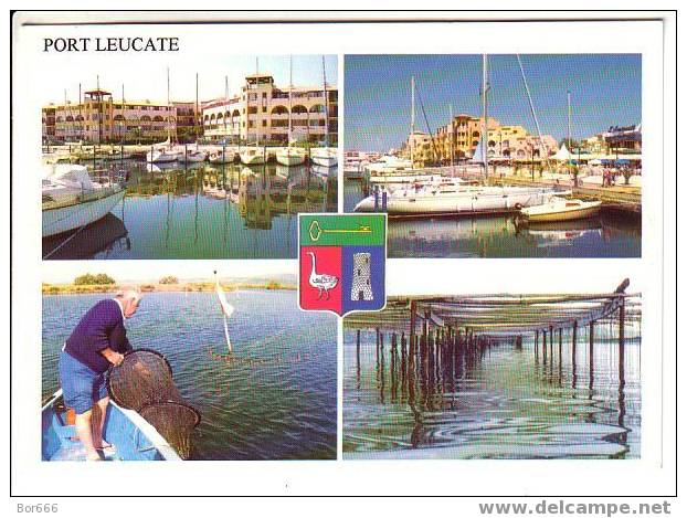 GOOD MINT FRANCE VIEW POSTCARD - PORT LEUCATE - Leucate