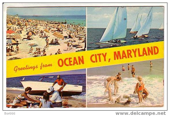 GOOD MINT USA VIEW POSTCARD - MARYLAND - OCEAN CITY - Ocean City