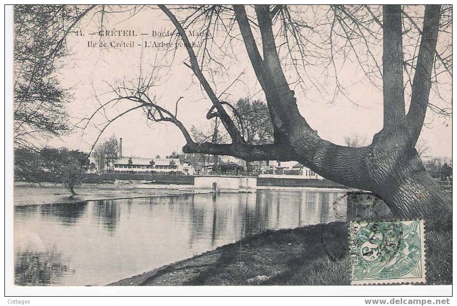 CRETEIL - Bords De Marne - Ile De Créteil - L´Arbre Penché - Creteil