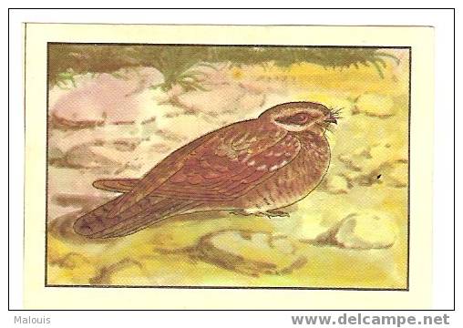 Kohler, Nestle. Serie 106 No.07 Nachtzwaluw, Nightjar, Hirondelle De Nuit. - Nestlé