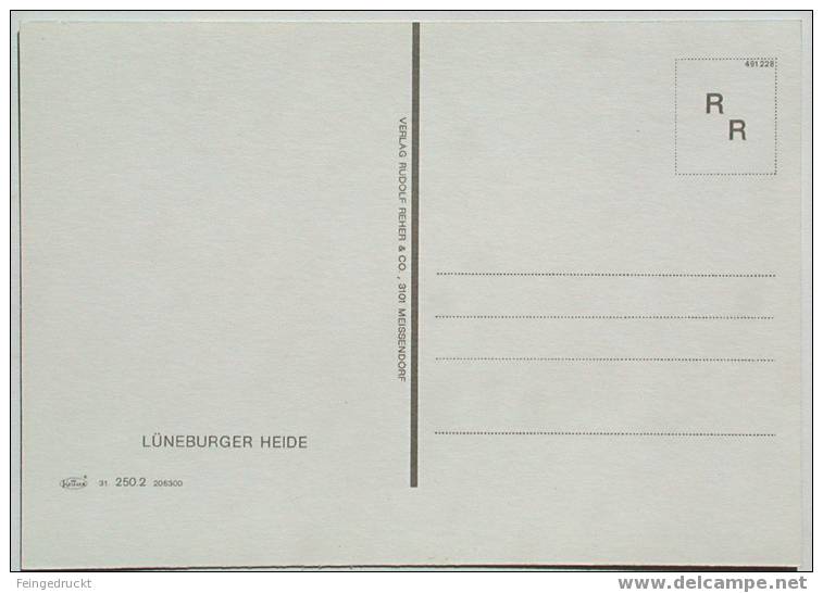 Lüneburger Heide. Schäfer Mit Herde - CAk Um 1975 - (d 882) - Lüneburger Heide