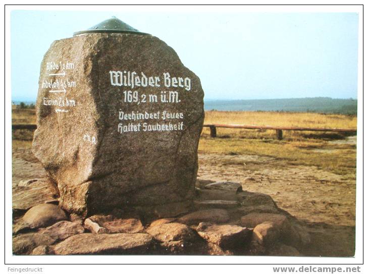 Lüneburger Heide. Markstein Wilseder Berg - CAk Um 1970 - (d 886) - Lüneburger Heide