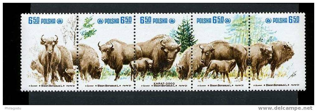 Pologne 1981, Bison D’Europe, N° 2580 / 84 En Bande ++, Cote 6 € (25087) - Nuevos