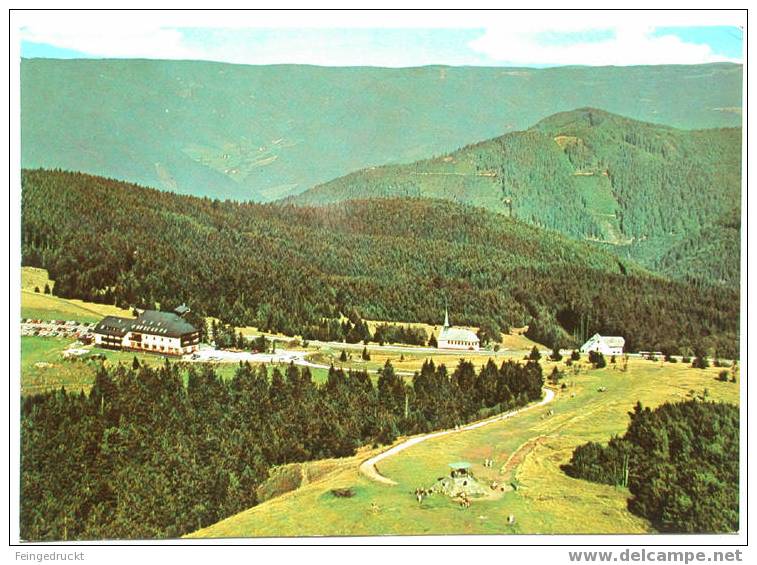 Breisgau Hochschwarzwald Kandel B. St. Peter. Hotel Kandel - CAk - (d 989) - Hochschwarzwald