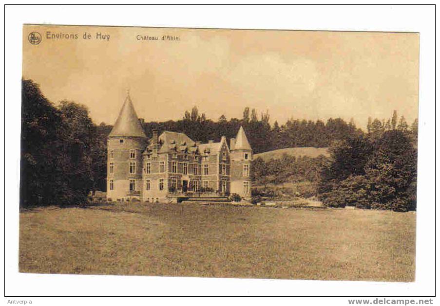 Huy Chateau D'ahin Nels N°45 Vierge - Huy