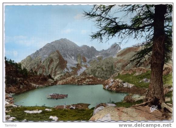 Saint Martin De Vésubie. Le Lac De Tre-Coulpas, Dans Le Fond, Le Pélago. - Saint-Martin-Vésubie