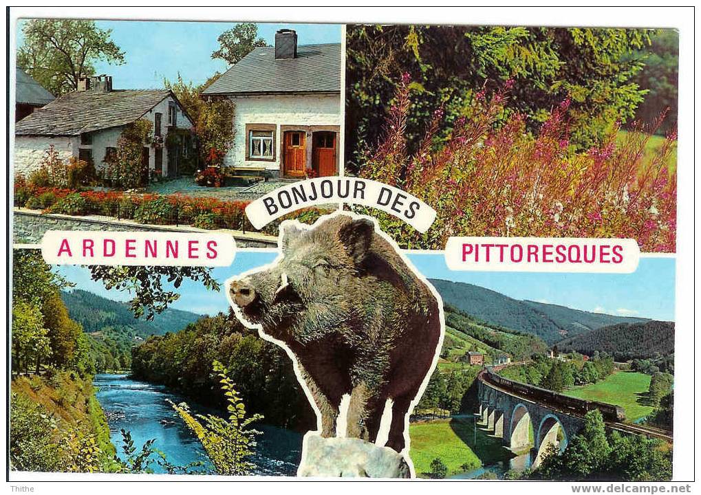 Bonjour Des ARDENNES Pittoresques - Other & Unclassified