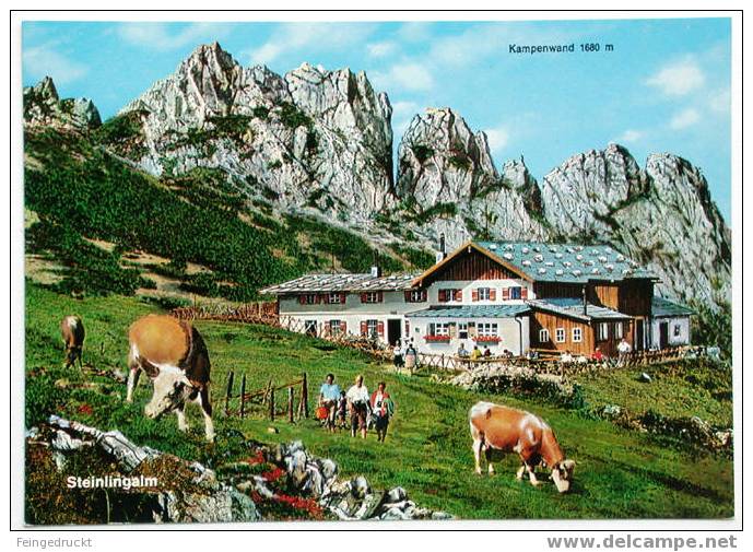 Aschau Im Chiemgau. Bayerische Alpen Und Kühe - CAk - (d 1017) - Chiemgauer Alpen