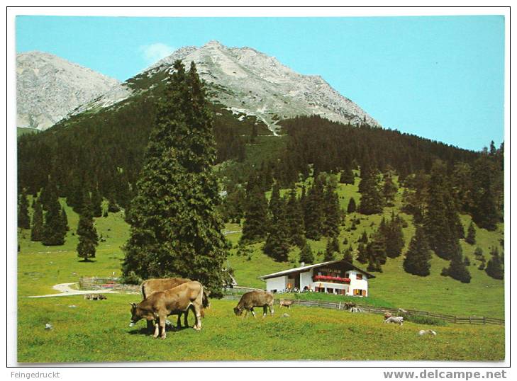 Leutasch, Tirol. Gaistalalm - CAk Um 1978 - (d 1045) - Sonstige & Ohne Zuordnung