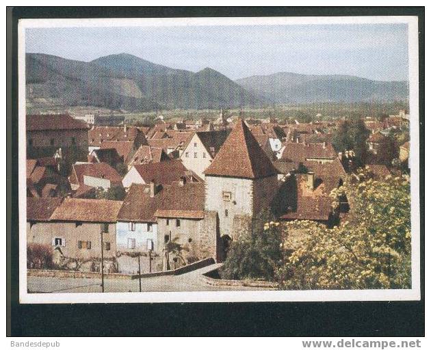 CPSM - Türkheim (éd Arnold ) - Turckheim