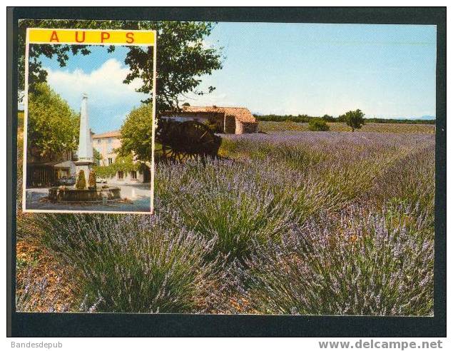 CPSM - Aups (champ De Lavande ) - Aups