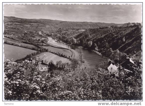 Châteauneuf-du-Faou. Des Jardins Fleuris De Belle-Vue, Perspective De La Vallée De L'Aulne. - Châteauneuf-du-Faou