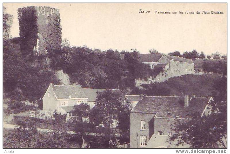 SAIVE = Panorama Sur Les Ruines Du Vieux Château  (edit. Fraikin) - Blegny