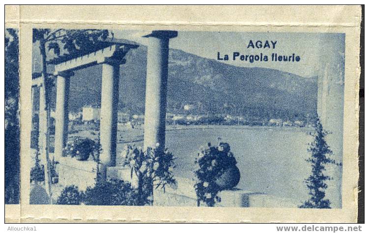 ERINOPHILIE/VIGNETTES/LABELS/AUFKLEBER/ETICHETTE/ETIQUETAS/FRANCE   83 AGAY LA PERGOLA FLEURIE - Tourisme (Vignettes)